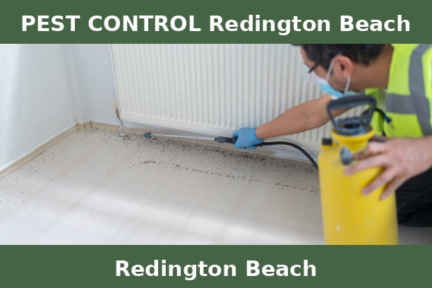 PEST CONTROL Redington Beach